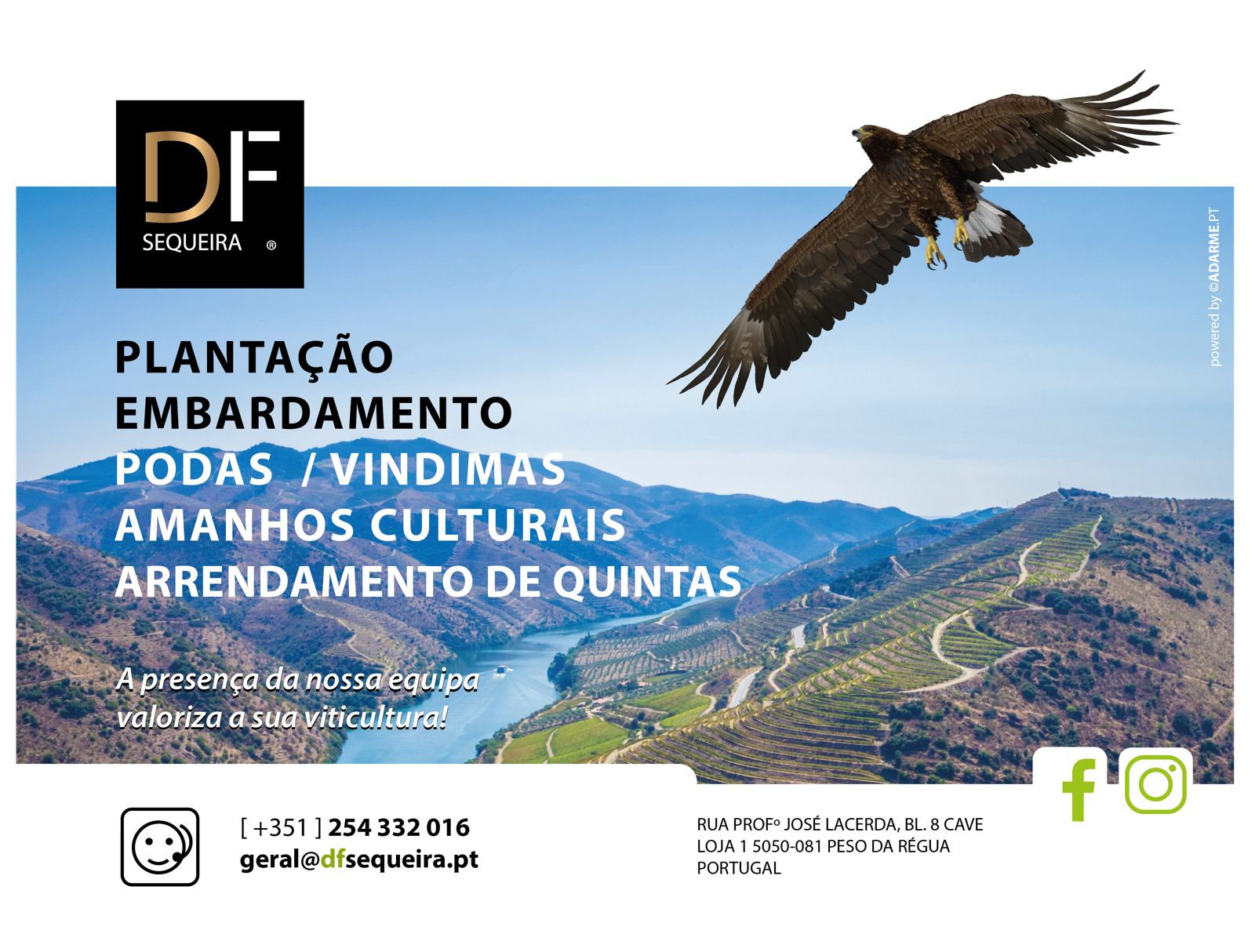 DF 
